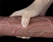 Lovetoy - 11.5'' Dual Layered Realistic Cock photo-8