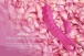 Kokos - Smon Rabbit Vibrator - Pink photo-5