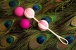 Gvibe - Geisha Balls 2 收陰球 - 粉紅色 照片-2