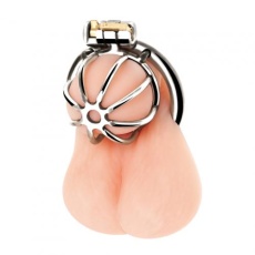 Blue Line - Little Cock Chastity Cage - Silver photo