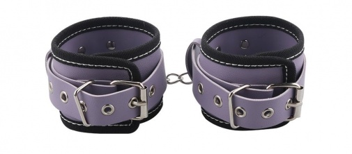 MT - 奴隶调教套装 - 紫色 照片