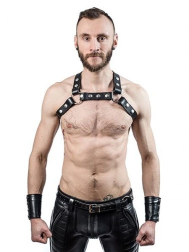 Mister B - Leather X-Back Harness - Black - L/XL photo