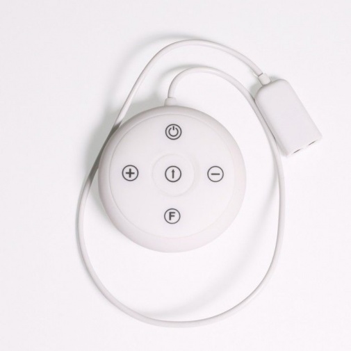 SSI - Kizuna Controller for Nipple Series photo