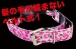 Prime - Ball Gags - Pink Leopard photo-4