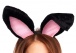 Leg Avenue - Plush Bunny Ears - Black photo-2