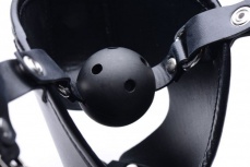 Master Series - 犬調專用調校面罩 - 黑色 照片