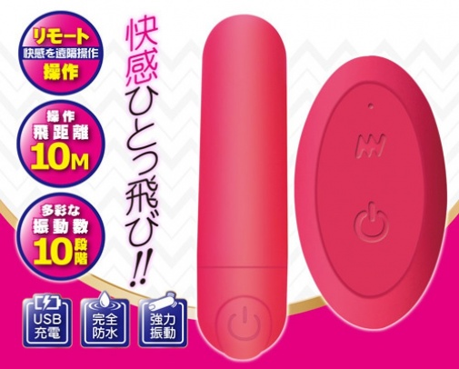 A-One - Remote in Vibro Panty - Pink photo