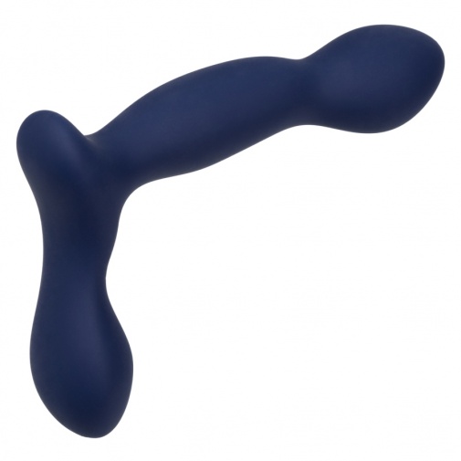CEN - Viceroy Expert Probe 前列腺按摩棒 - 藍色 照片