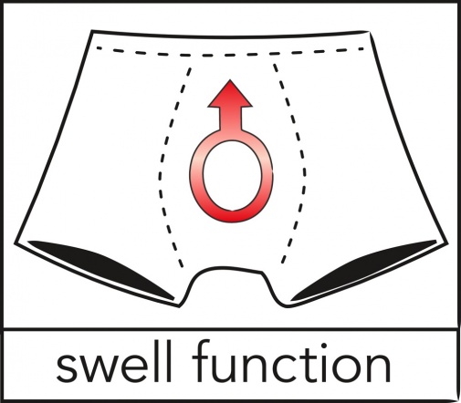Svenjoyment - Swell 内裤 - 黑色 - 大码 照片