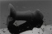 UTOO - 天鵝絨震動器肛門插頭3 照片-3