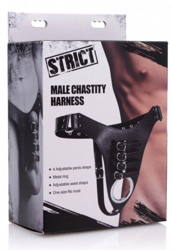 Strict - Male Chastity Harness - Black photo