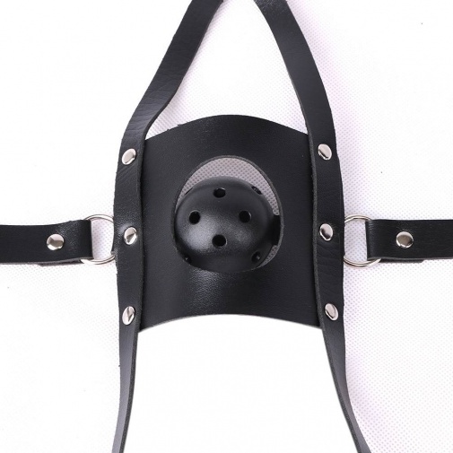 MT - 头部拘束带连口罩 照片