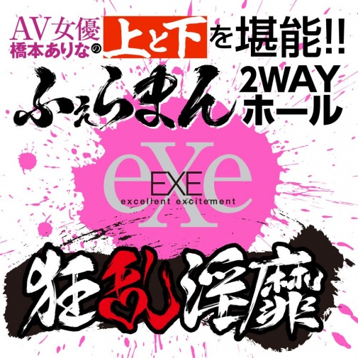 EXE - Arina Hashimoto 2 Way Hall Masturbator photo