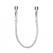 Chisa - Pinch Nipple Clamps w Chain - Silver photo